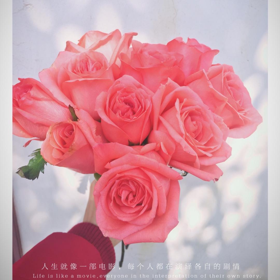 小小梨涡
