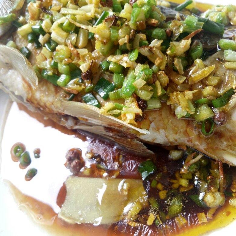 【清蒸鱼】超快速，10分钟搞定，靠它虏获老公的胃