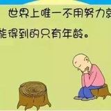 手机用户6447_lpjh