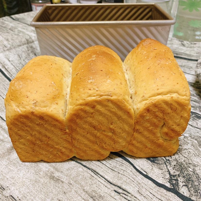 吐司君成长记