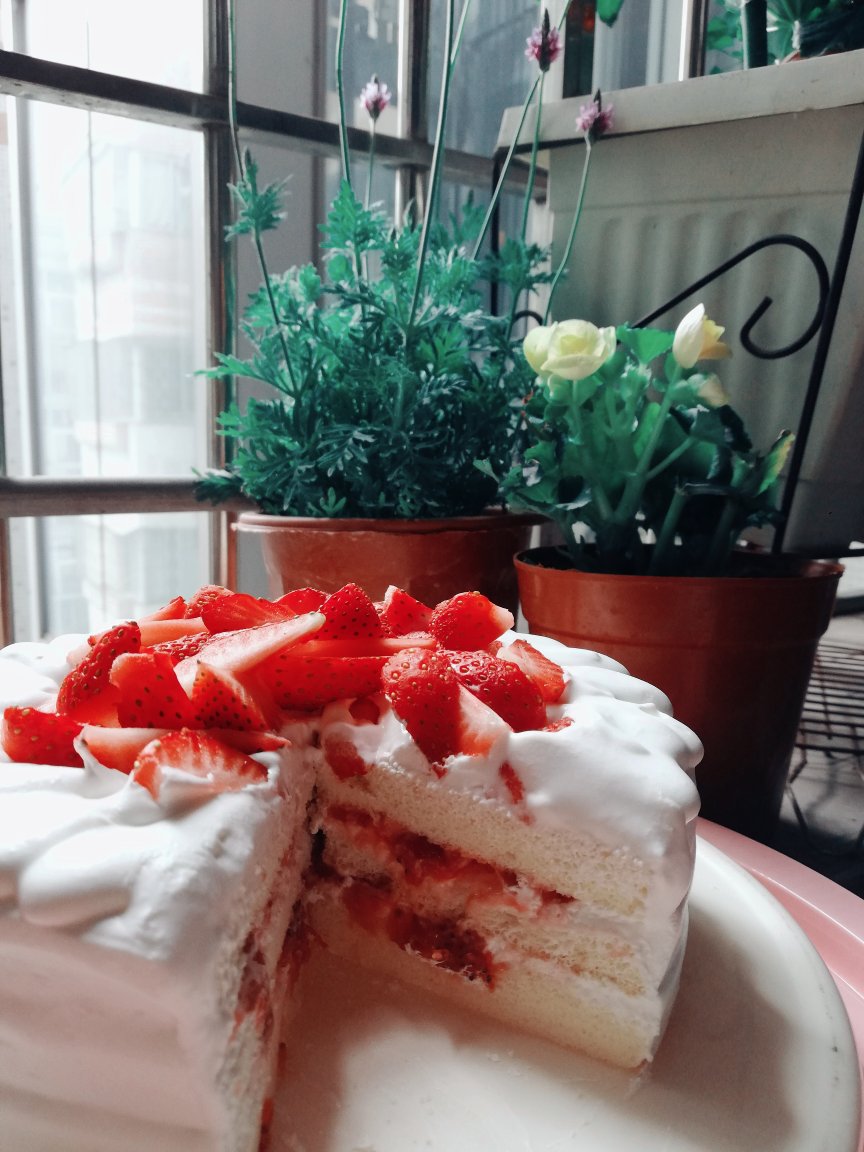 最浪漫的蛋糕草莓茉莉-像极了爱情