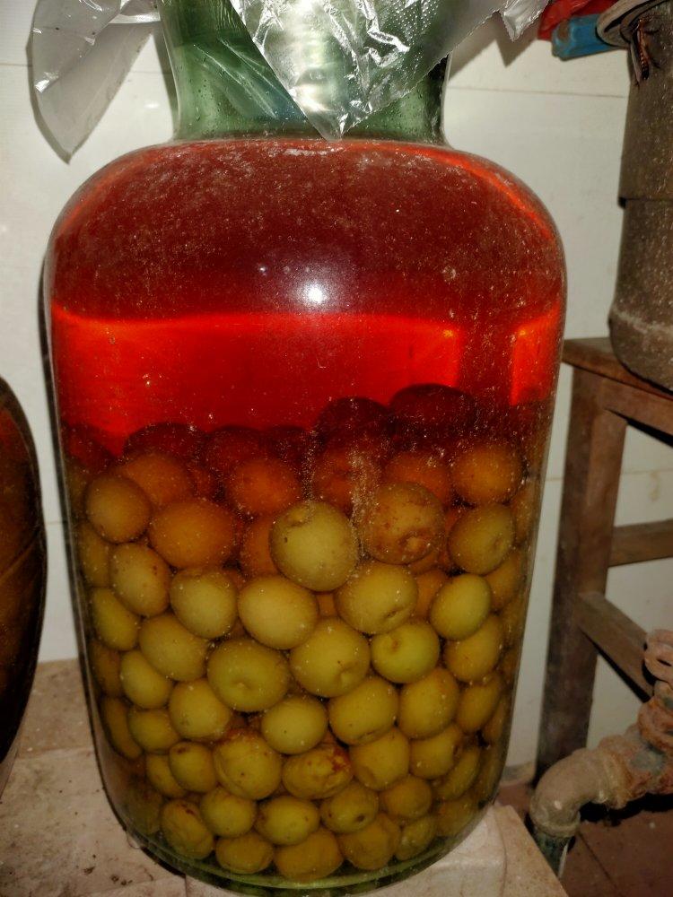 【青梅酒】梅子的沉醉时光（已填坑）