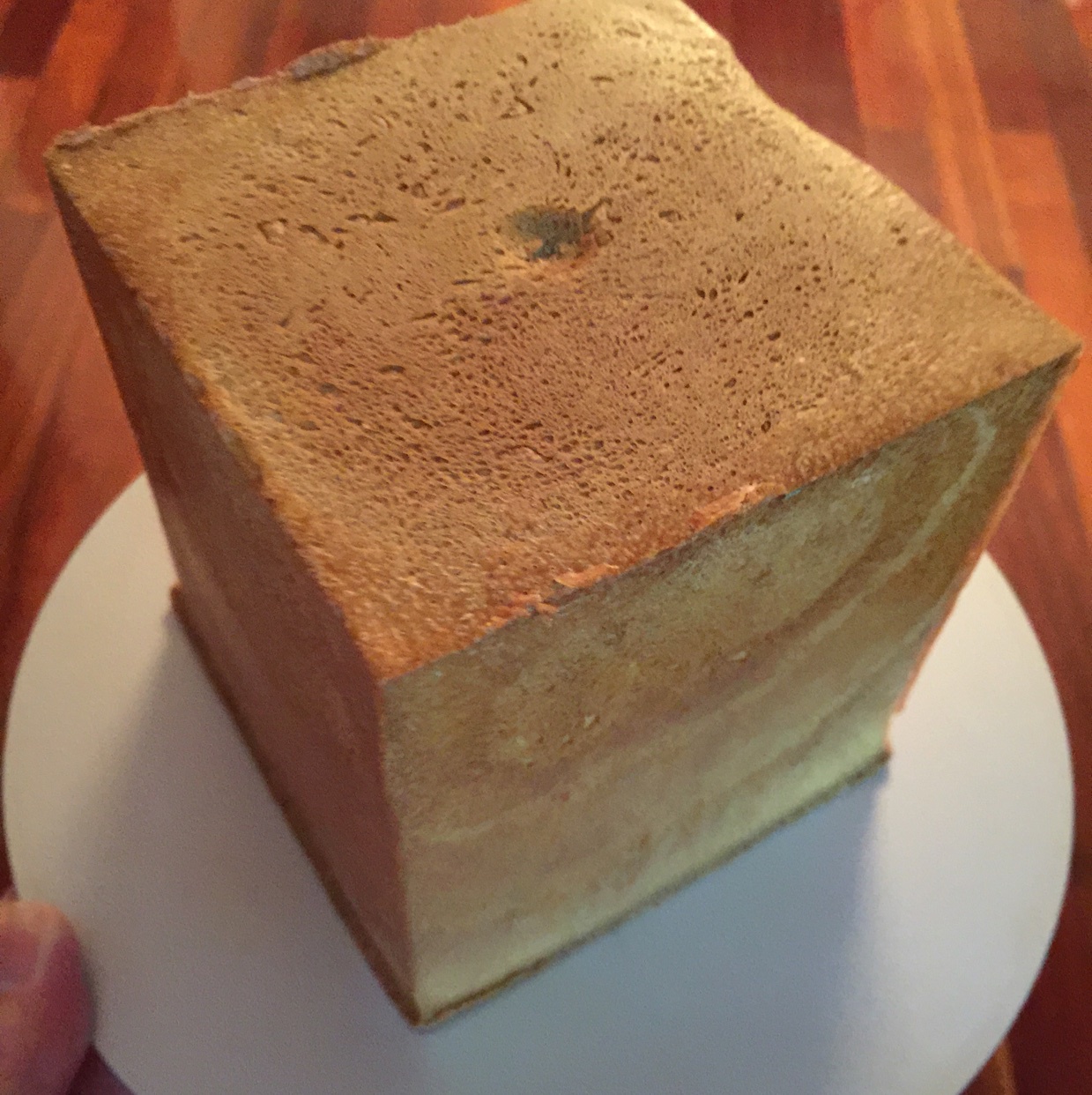 基础面包制作 Basic Bread (Loaf&Roll)