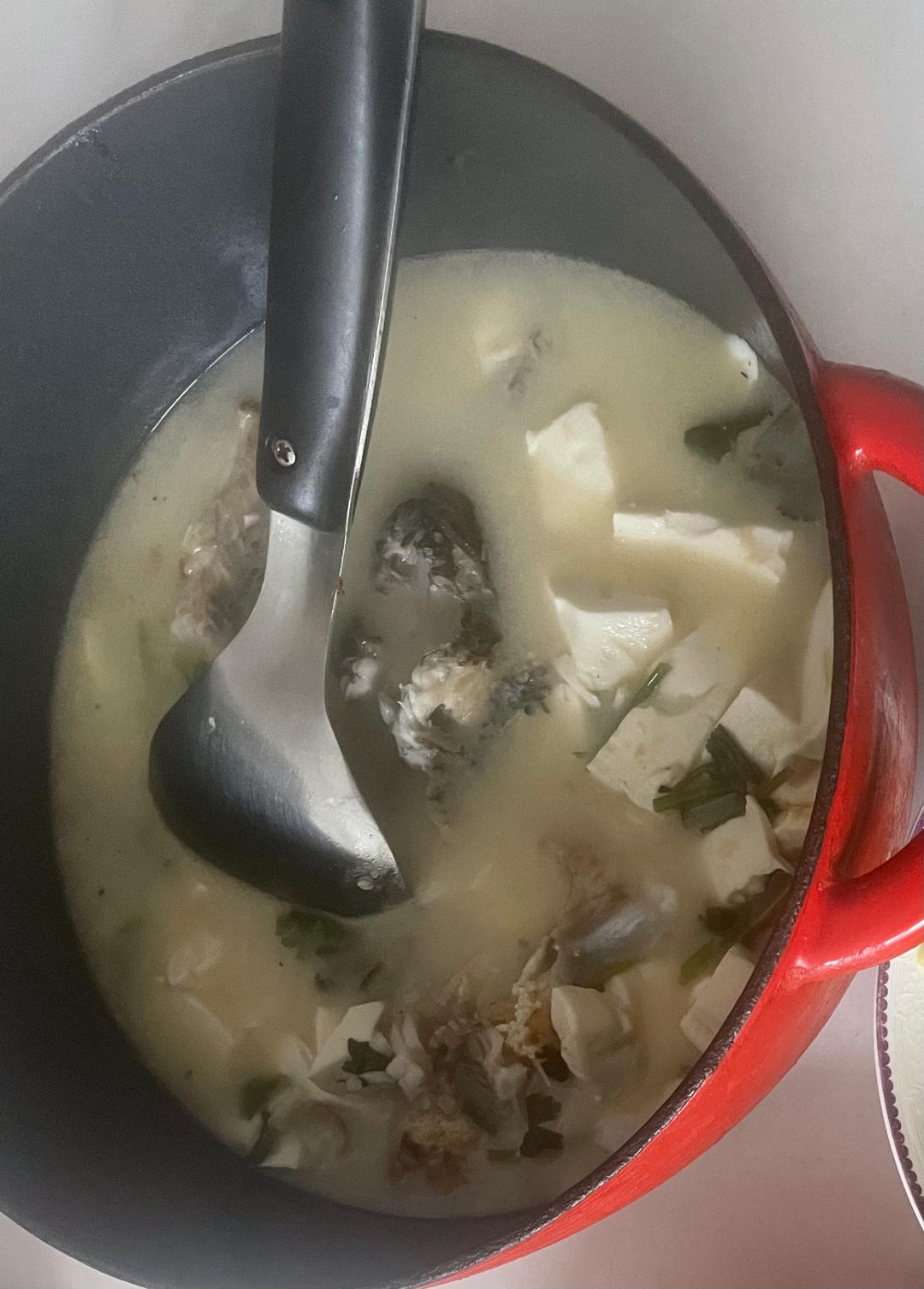 鲜美鲈鱼豆腐汤