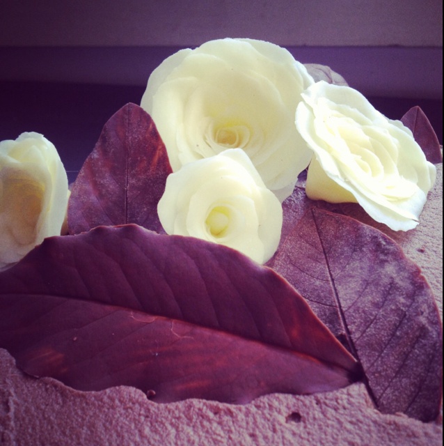 巧克力落叶蛋糕