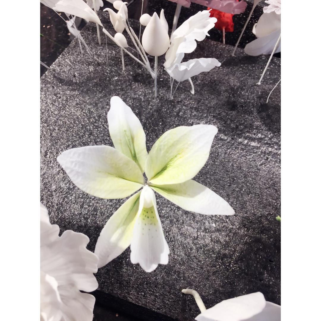 翻糖花
