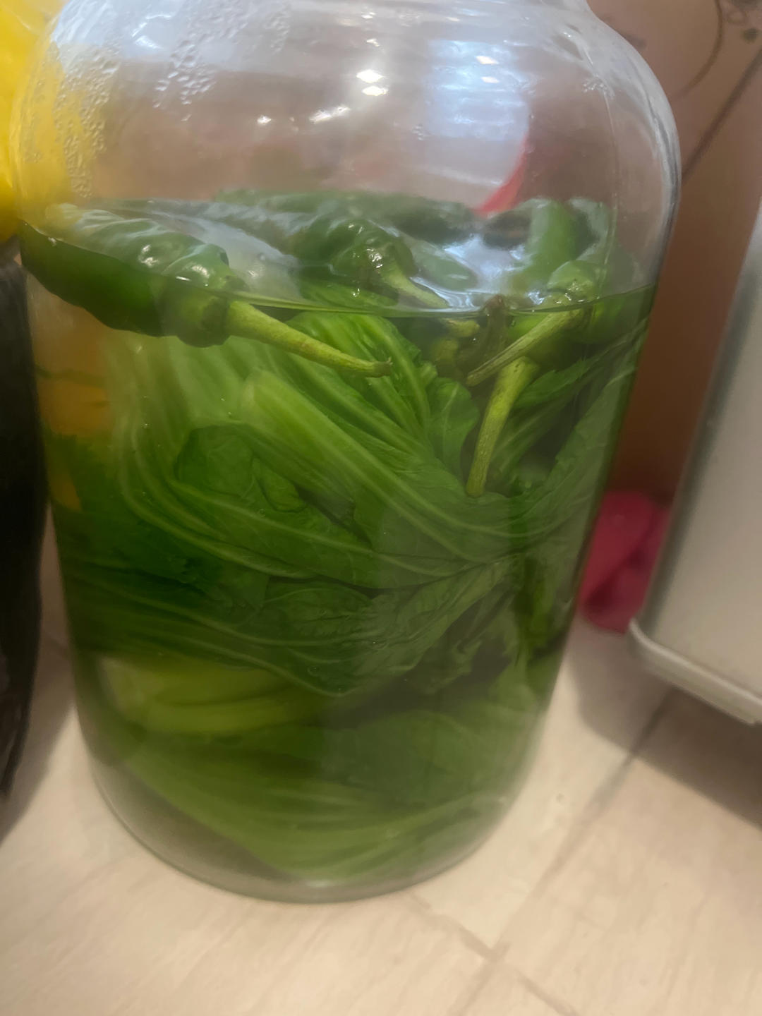 水碌菜（水烫菜）