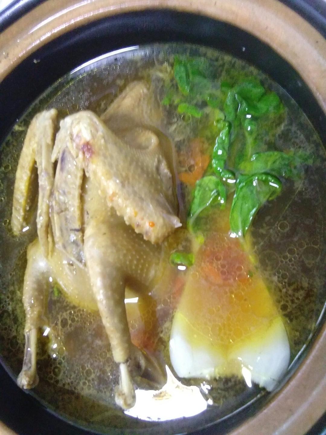 红枣枸杞乳鸽汤