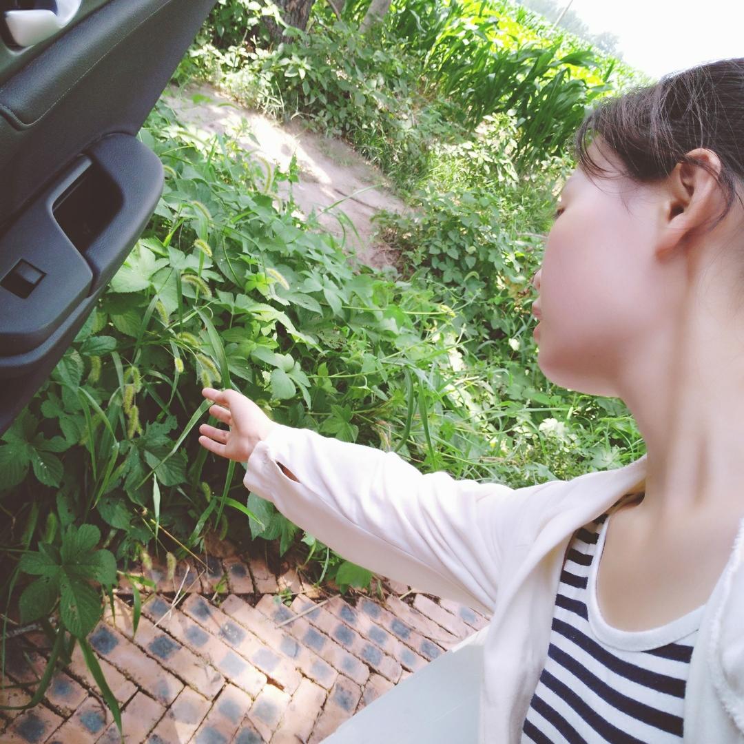 倪家少