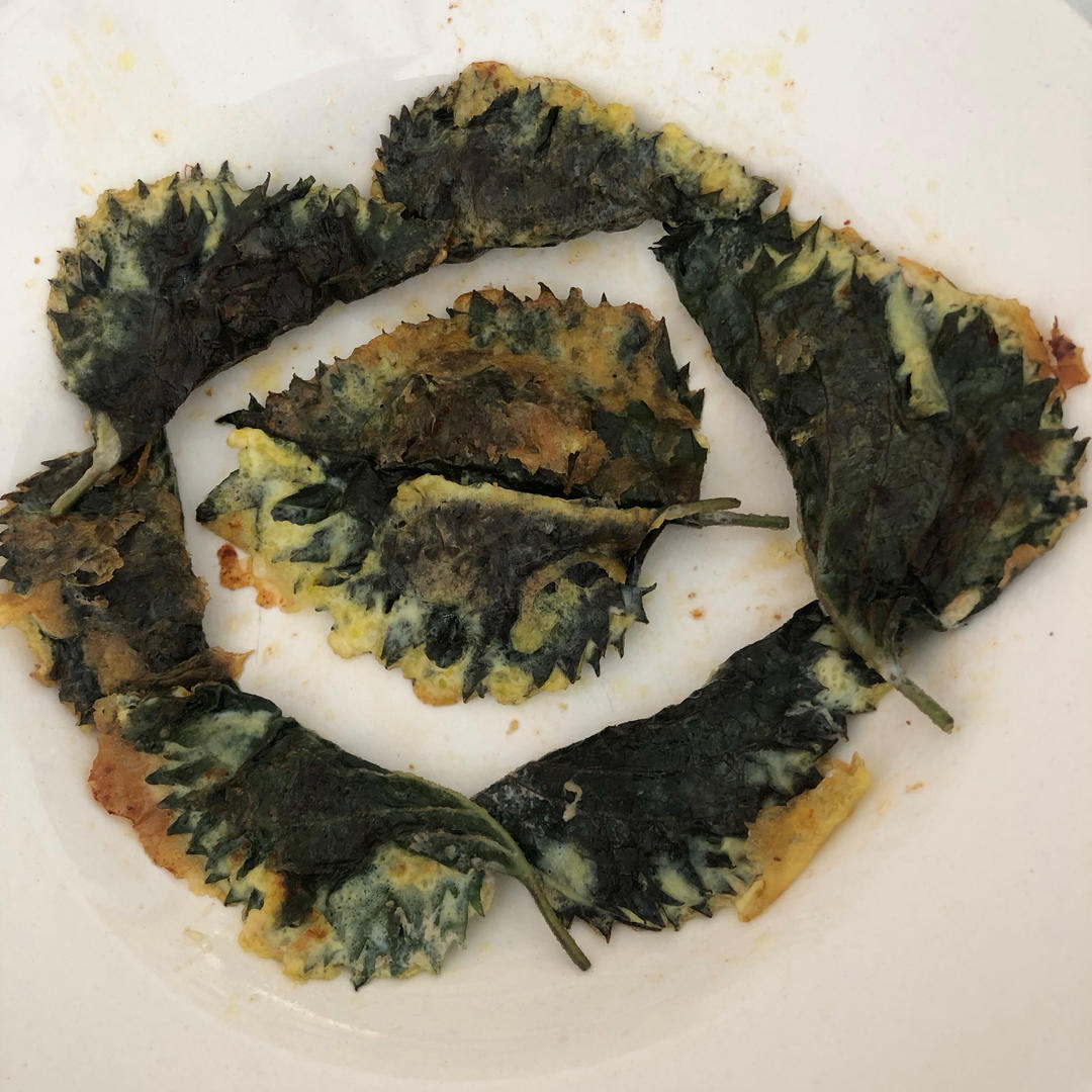 我愿称之为酿肉界天花板‼️紫苏叶夹肉真绝
