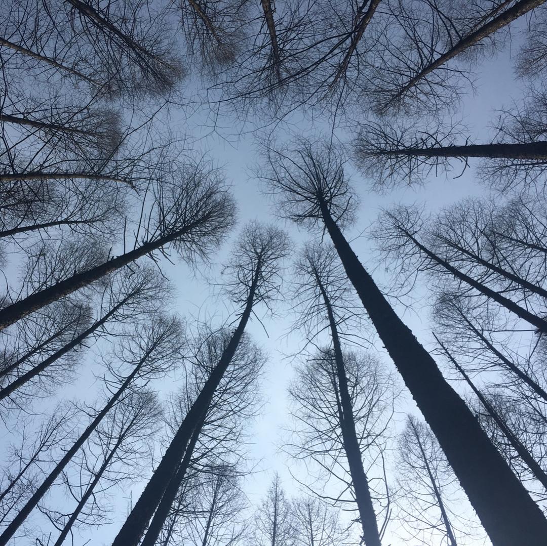 手机用户8255_cxqt