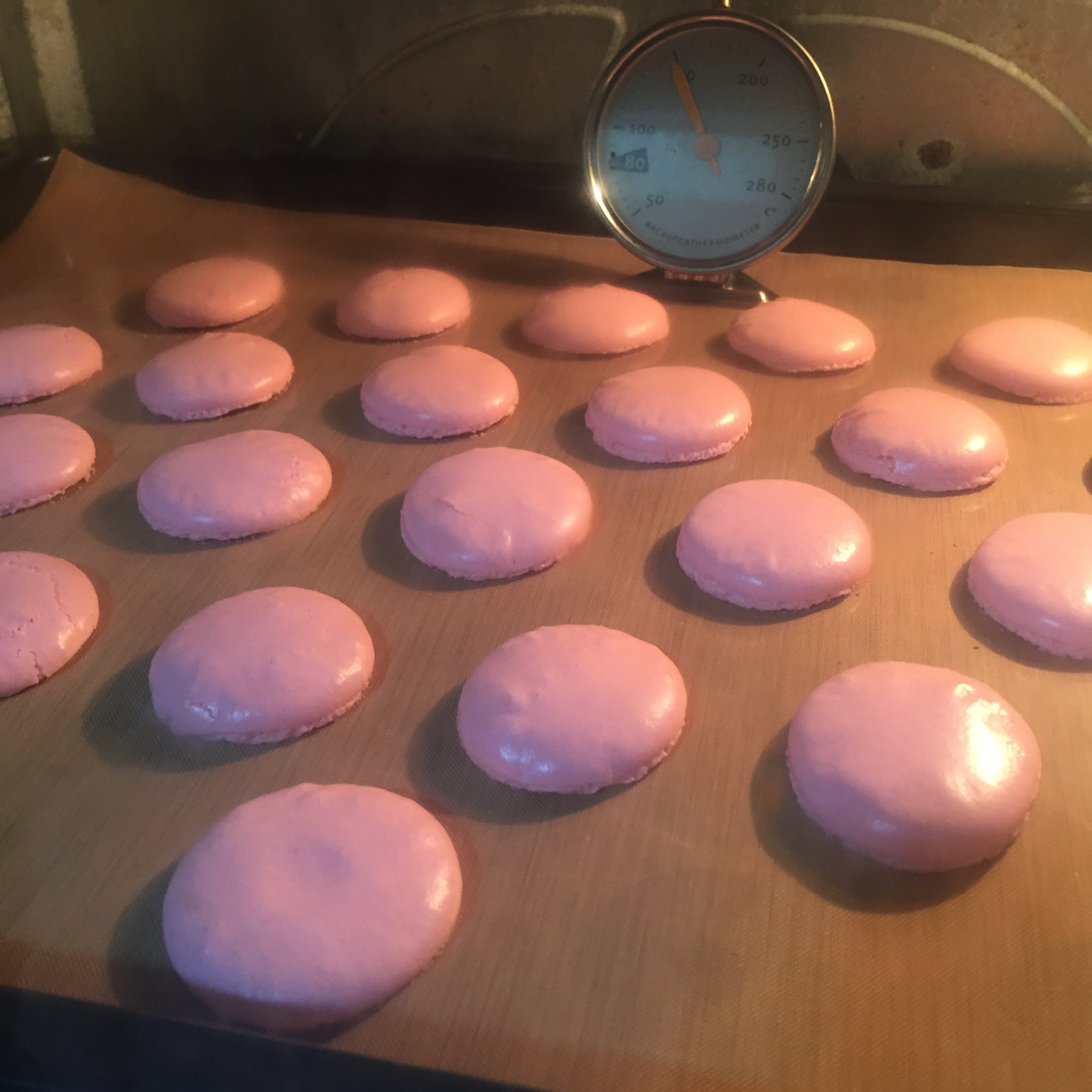 我的马卡龙日记