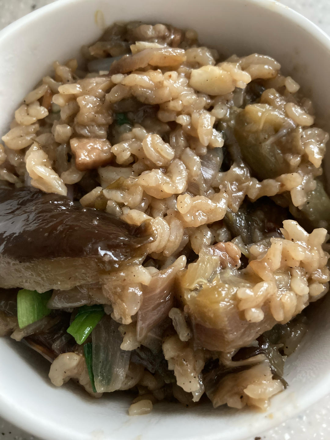 茄子焖饭（贾冰版）