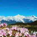 小渡妈妈的厨房