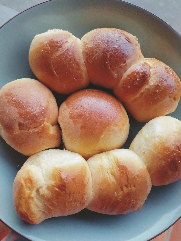 鲜奶小餐包-一次性发酵省时省力