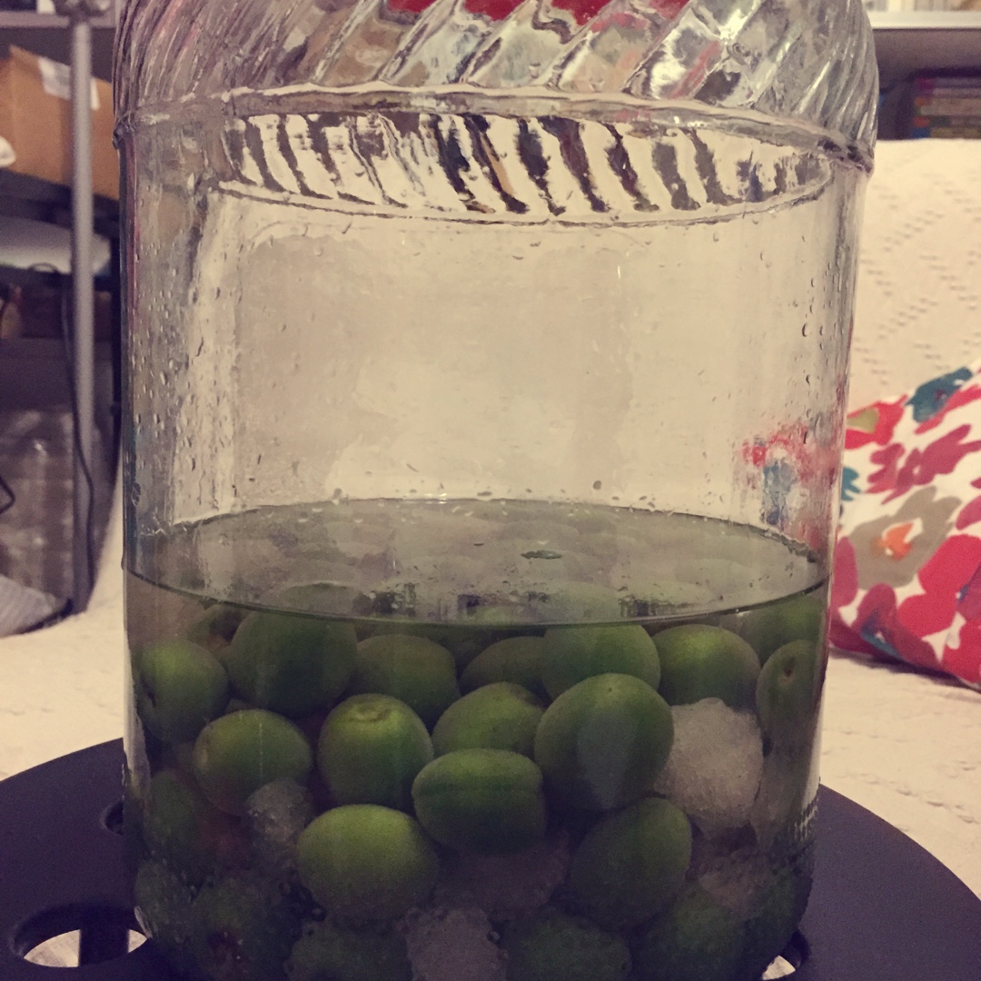 青梅酒（优的春日私酿第二話）