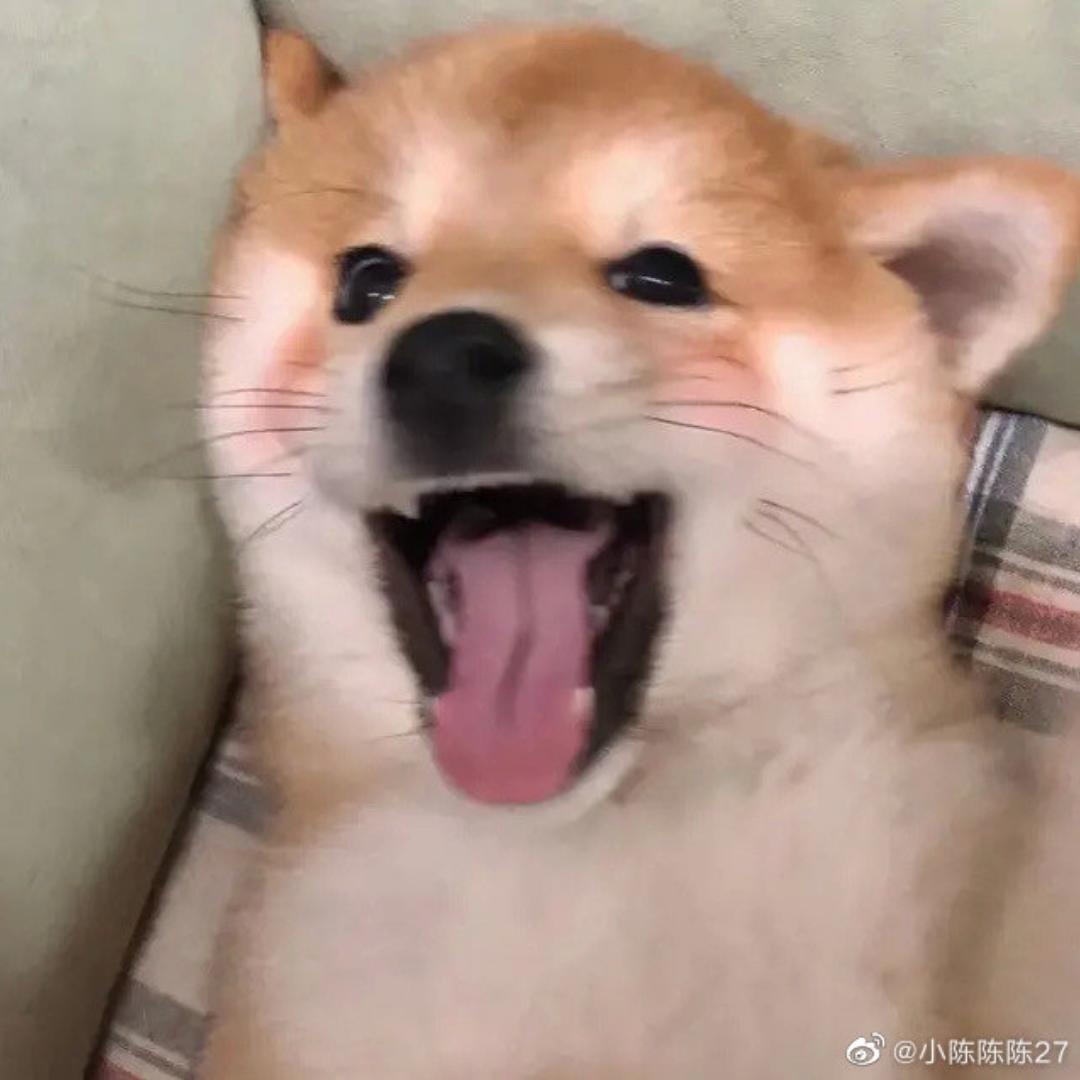 小骞是有些厨艺在身上的