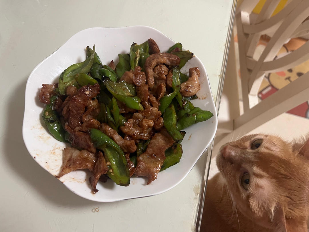 正宗辣椒炒肉