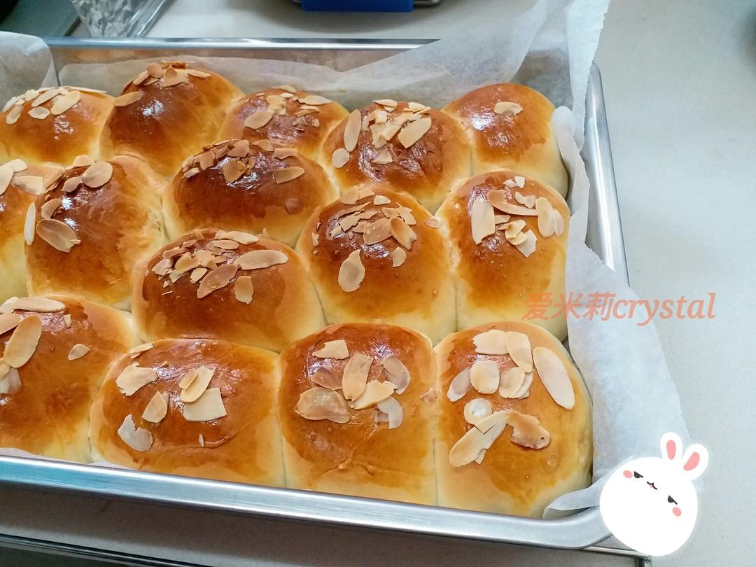 鲜奶油小餐包（一次发酵）