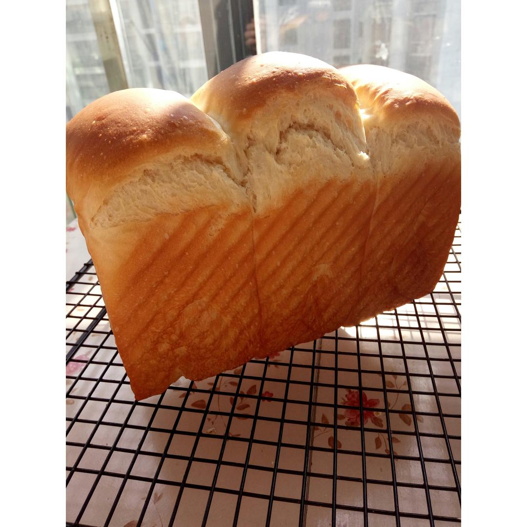 牛奶吐司～冷藏发酵