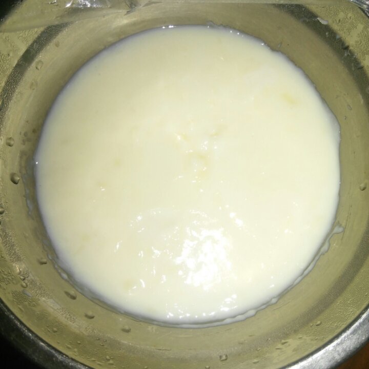 椰蓉奶冻