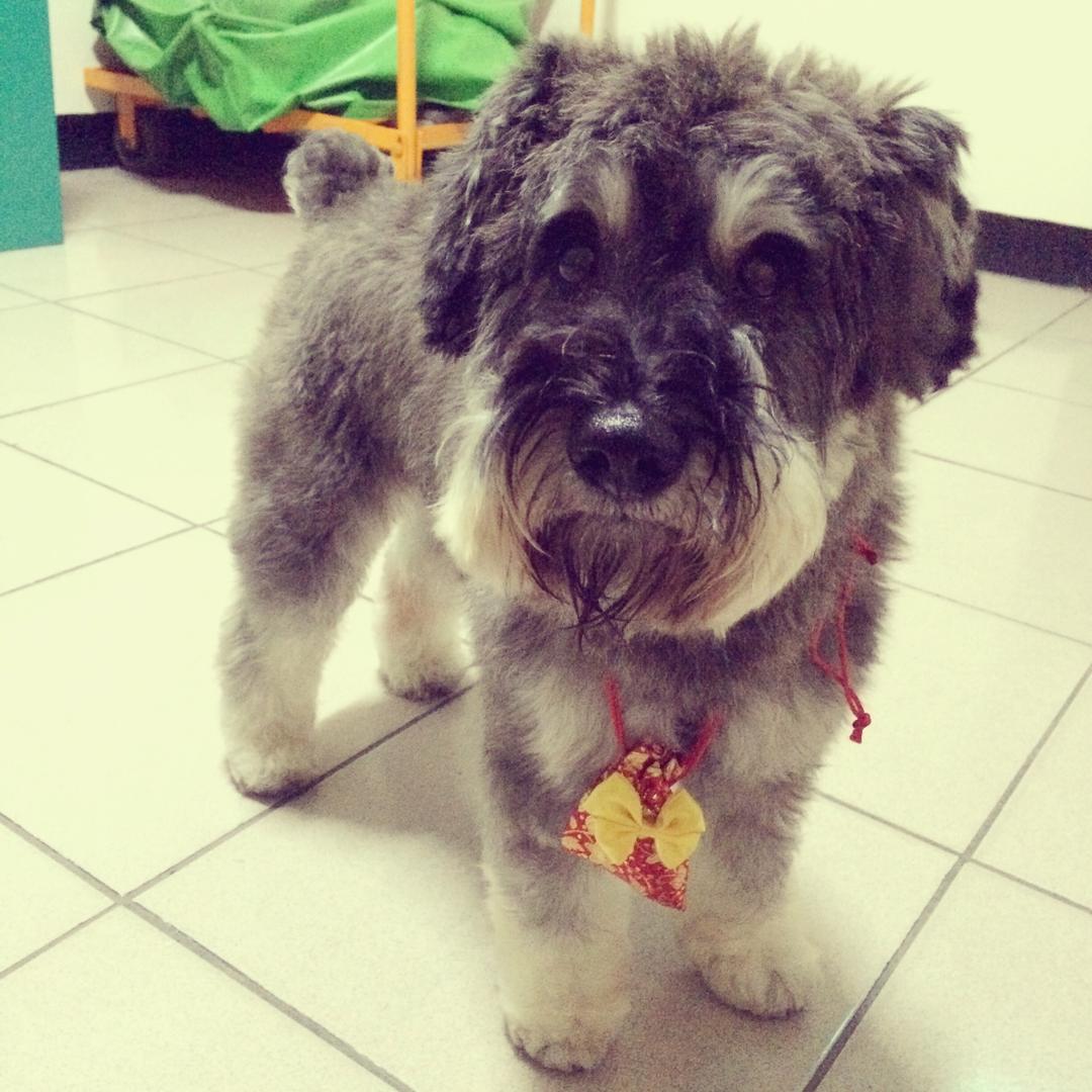 手机用户4118_4xjs