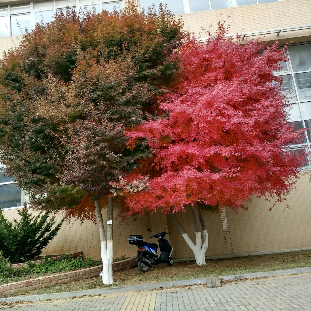 听说美食不可辜负噢