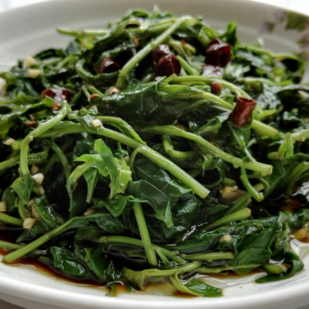 凉拌枸杞尖的全部作品