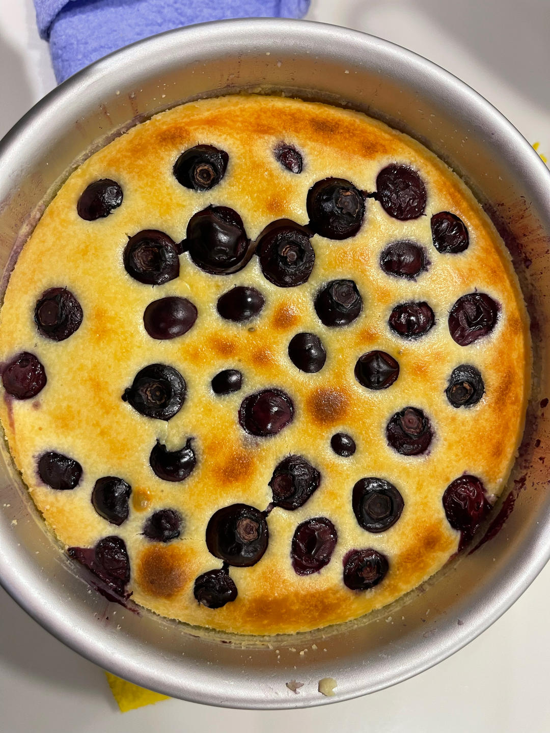 8寸蓝莓酸奶蛋糕