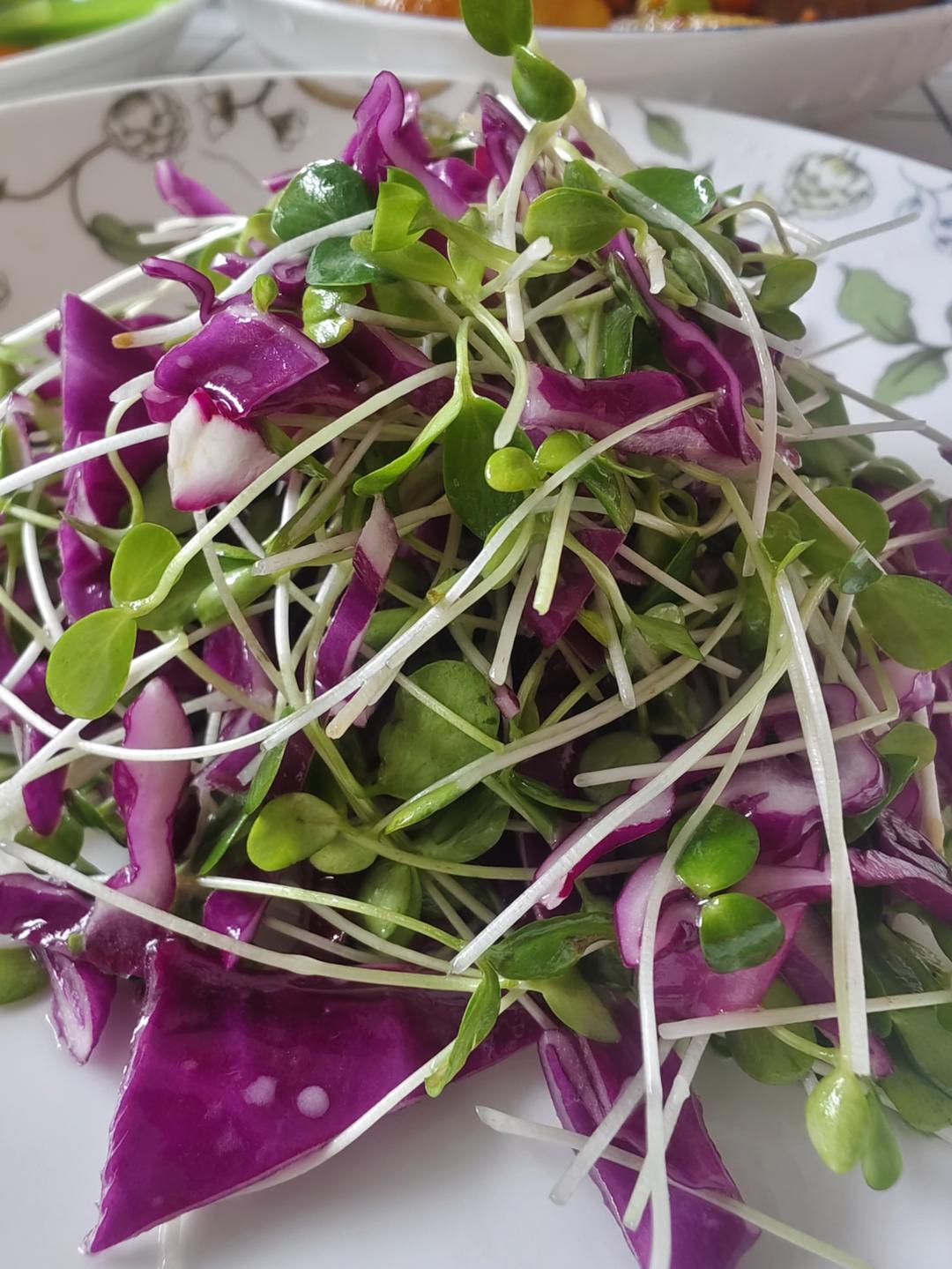 凉拌 香椿苗的做法