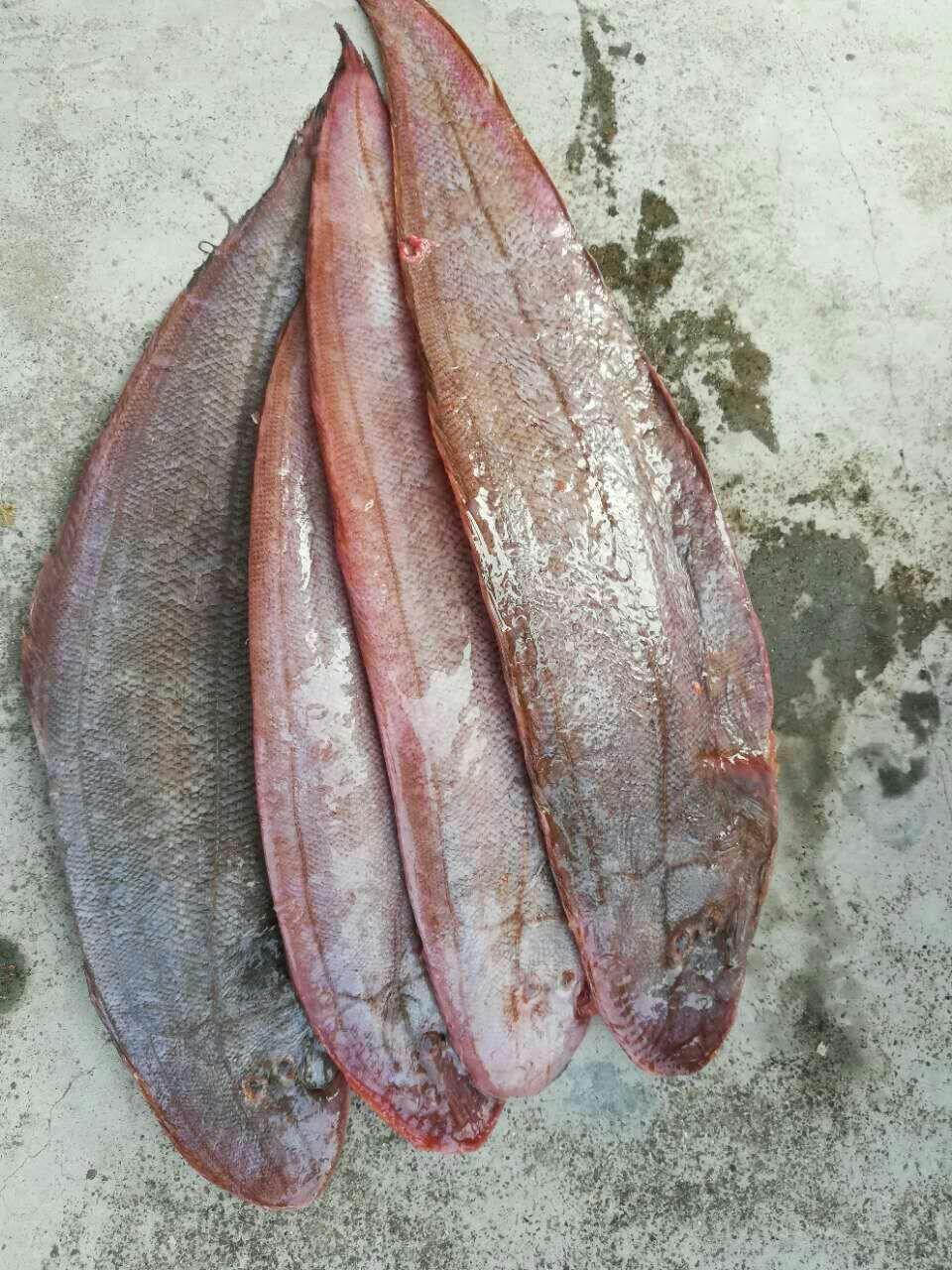 食材之美