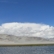 没有主人的闹钟