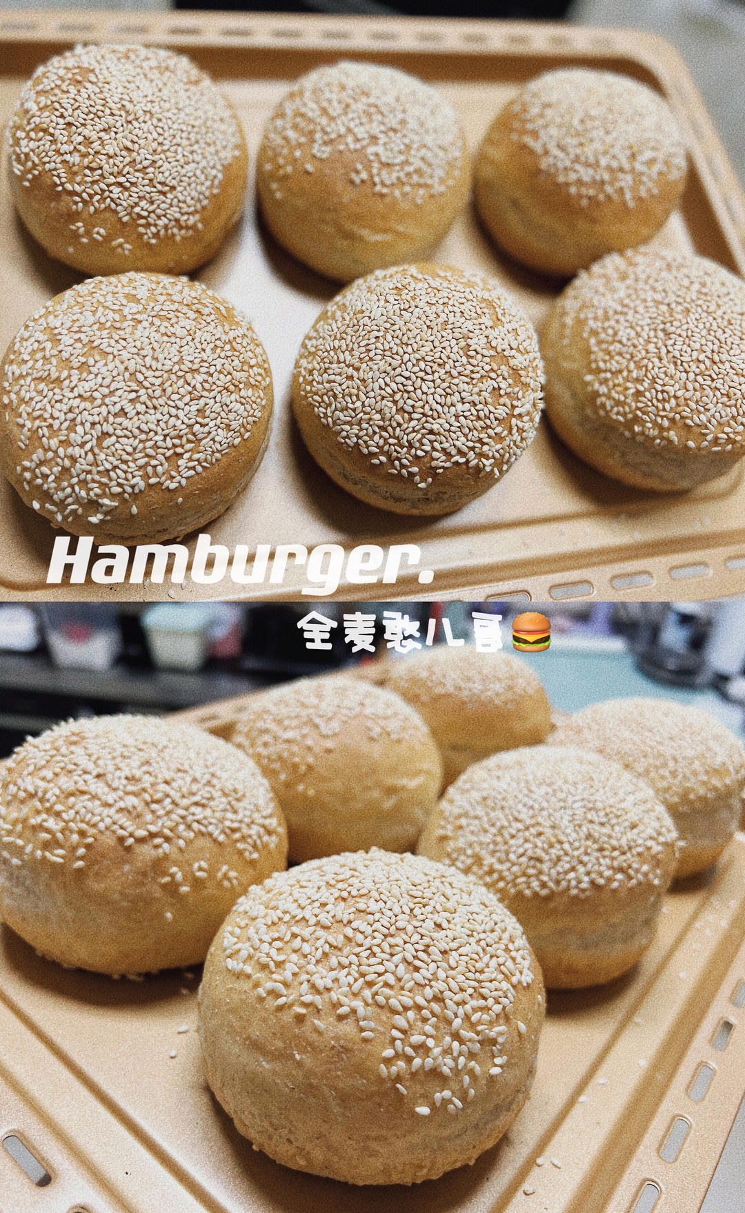🍔低卡全麦汉堡胚｜低糖低油｜超柔软｜一次发酵｜省时省力