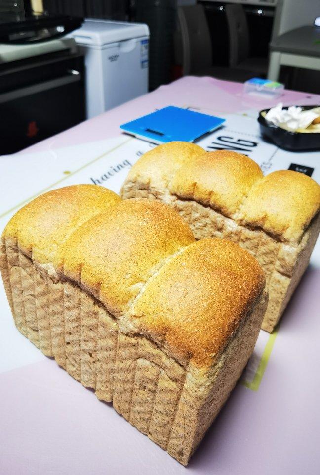 100%真•全麦吐司