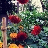 光阴易老