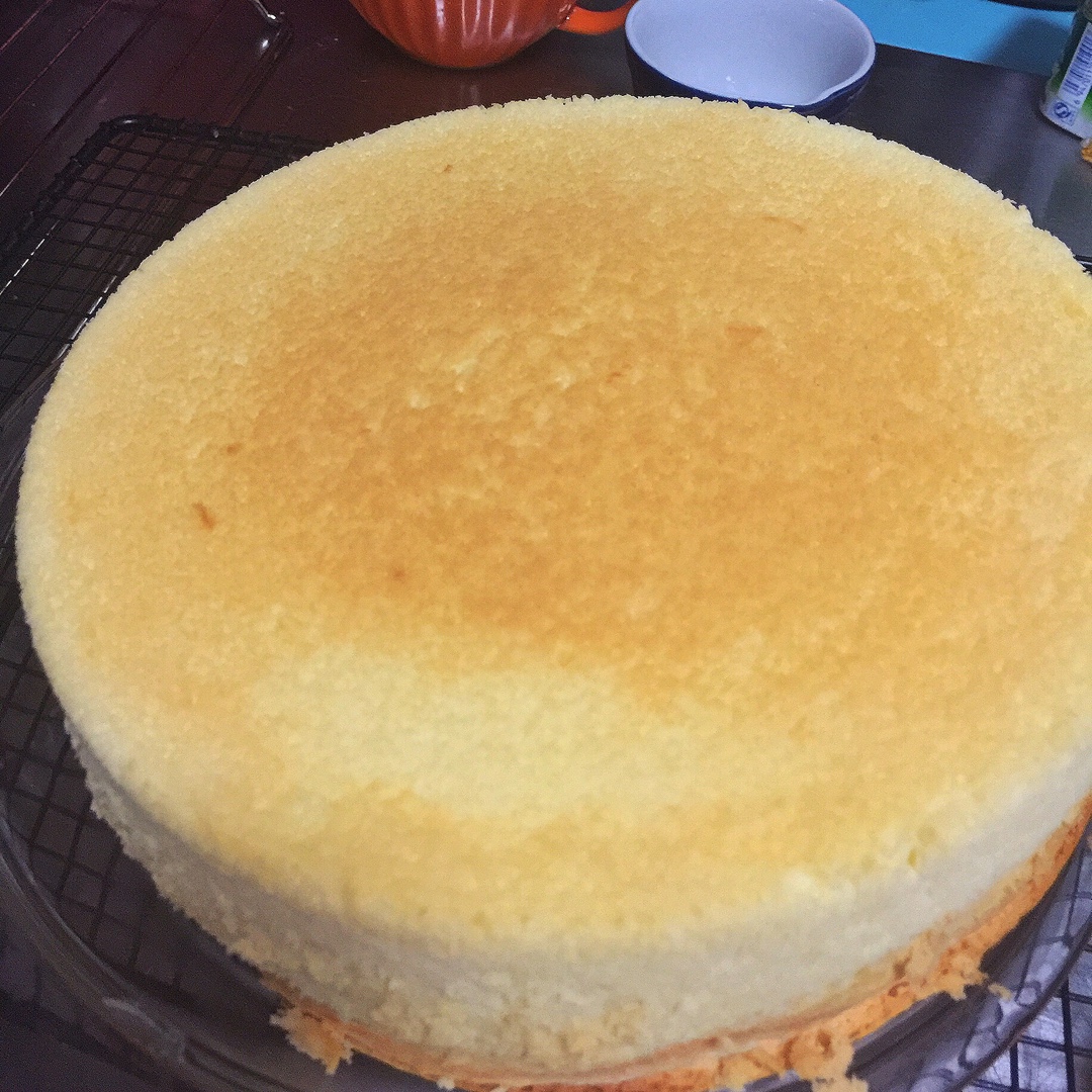 超详细酸奶轻乳酪（芝士）蛋糕8寸