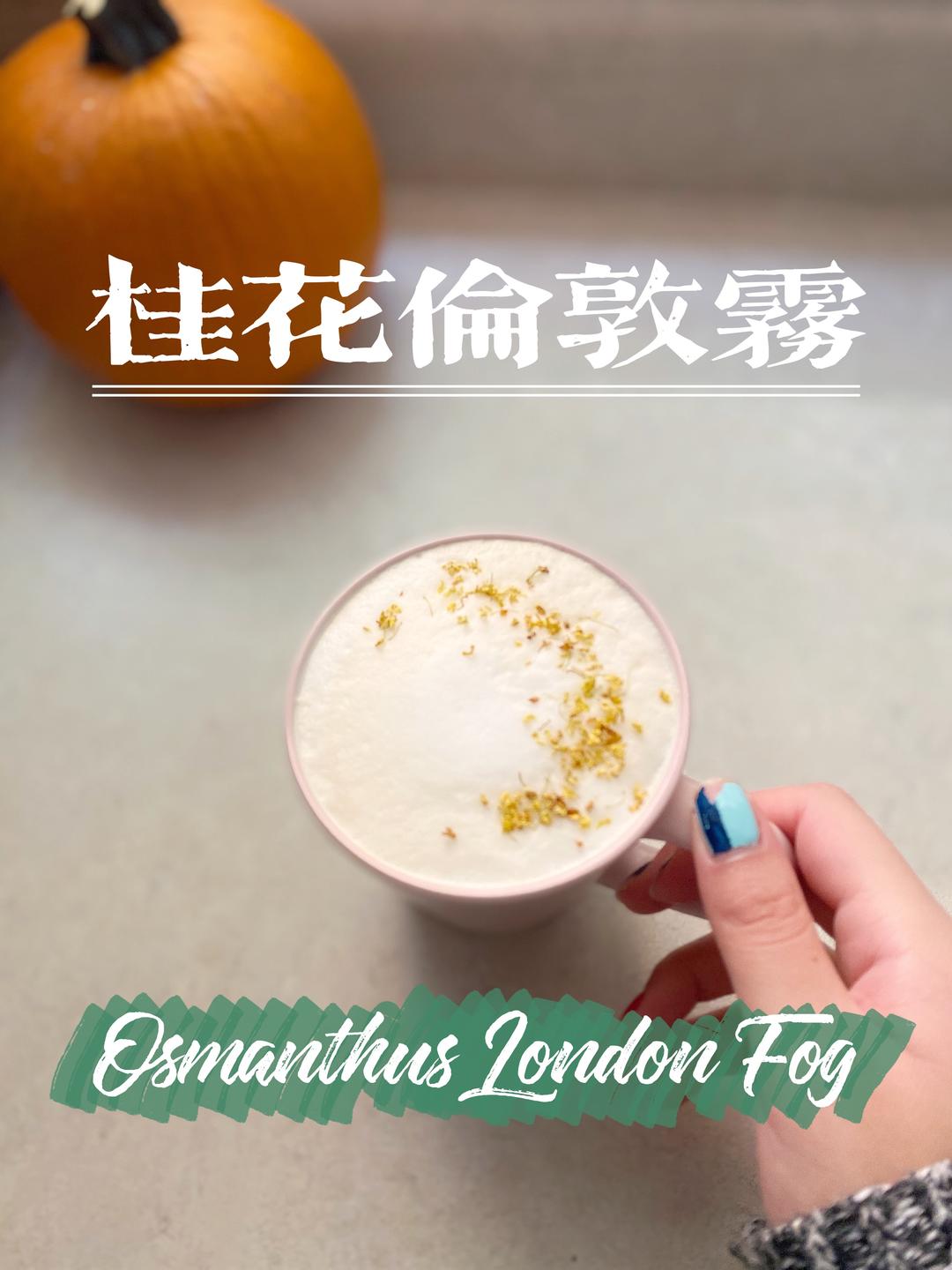 桂花伦敦雾London Fog