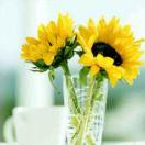 手机用户3959_u4ry