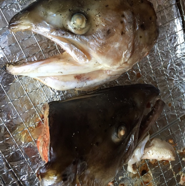 盐烧三文鱼头