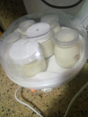 无敌好吃的酸奶的做法 步骤3