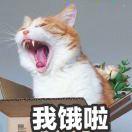 一起吃雪糕好嘛