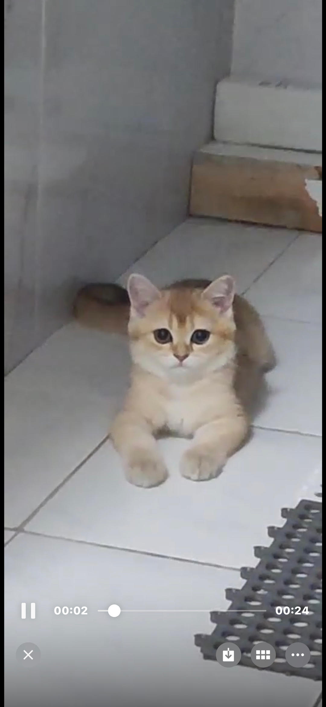 优雅的水晶女孩