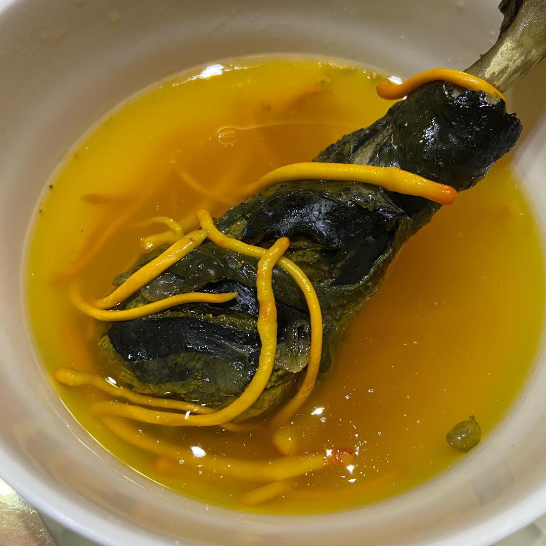 虫草花乌鸡汤