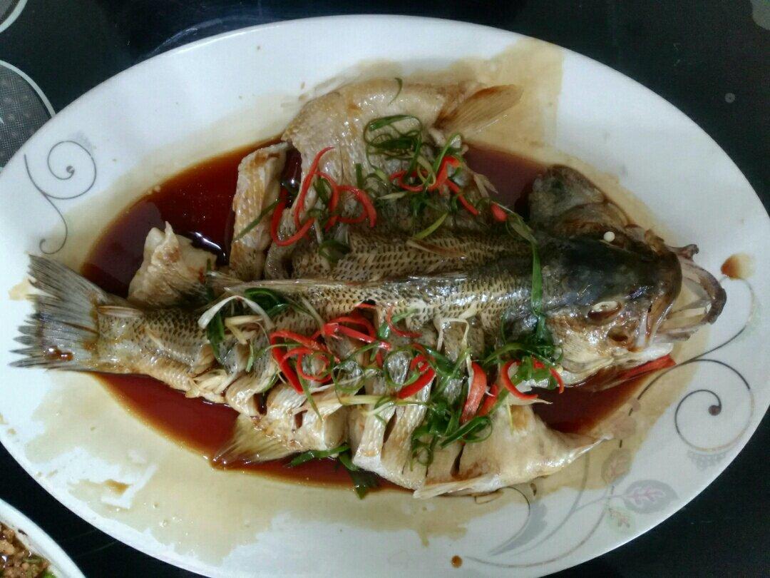 新手零失败的清蒸鲈鱼