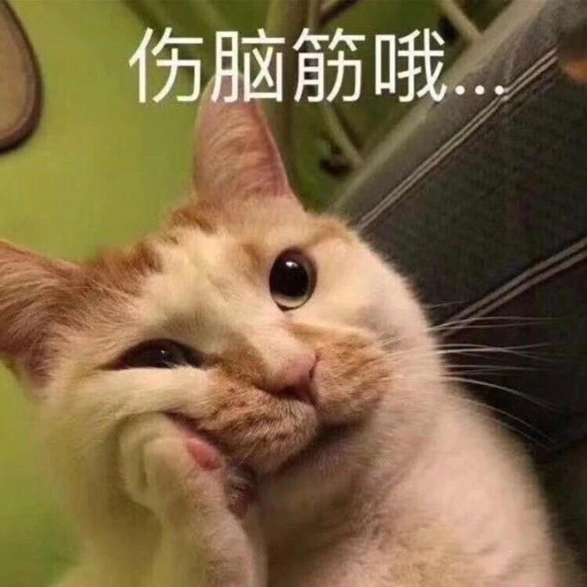 麻村理工大学干饭第一人