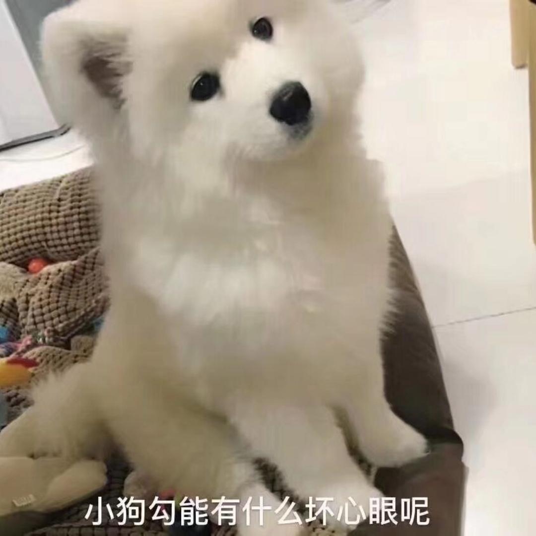 梦中身是客