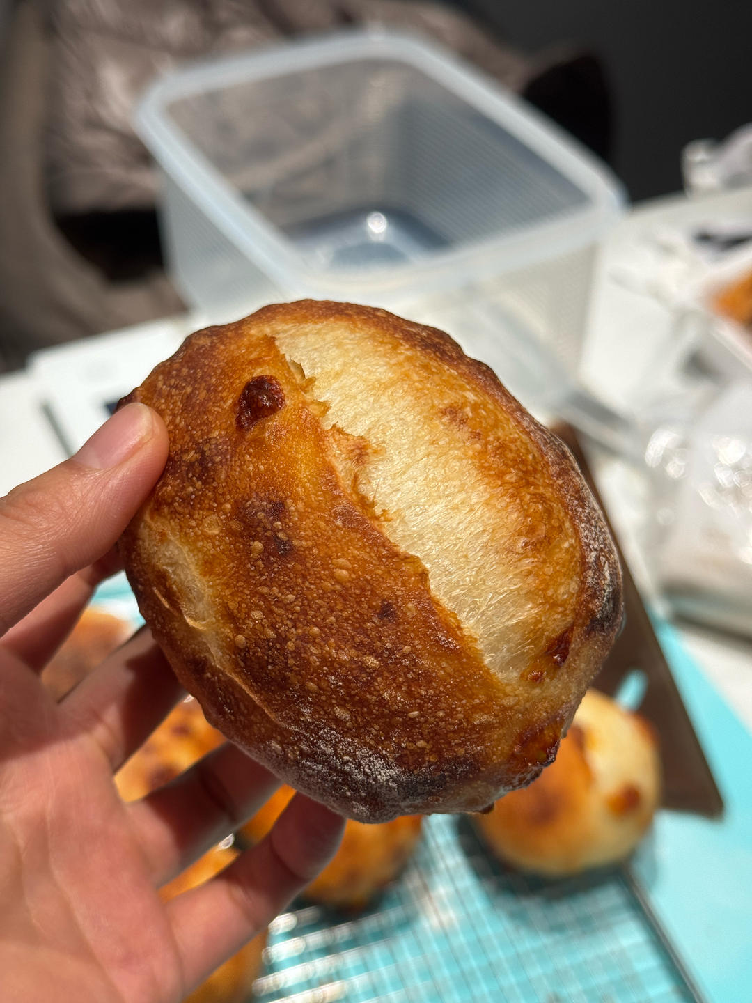 米麴洛斯提克记录