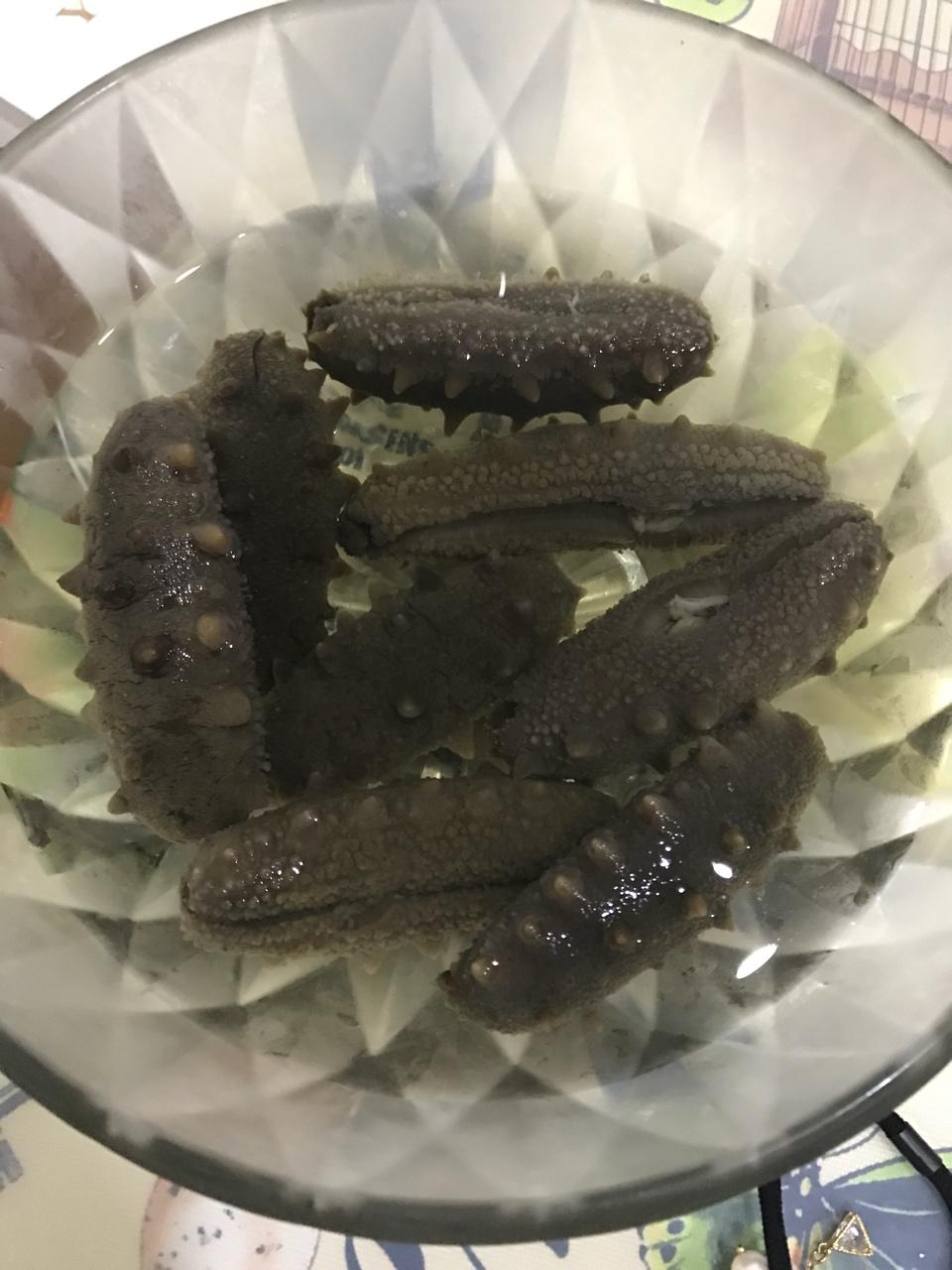 海参泡发攻略