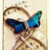 般若。Grace