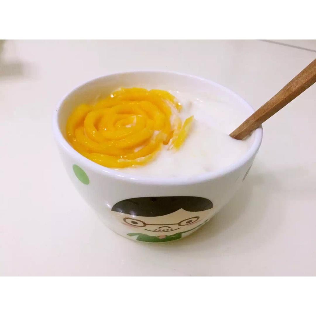 自制老酸奶